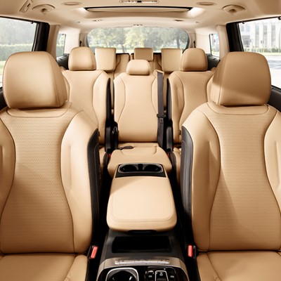 Kia Carnival Interior Cut